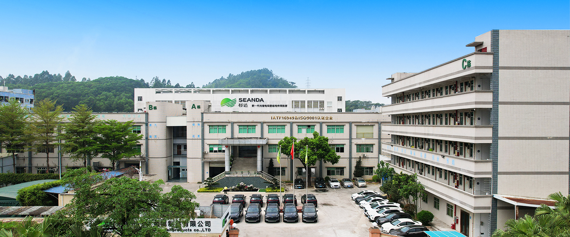 关于杉达